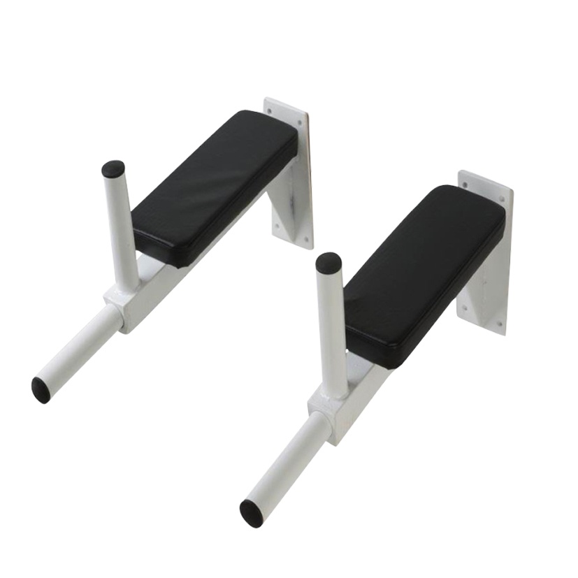 Dip and Raise Station