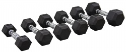 Black Rubber Dumbbell